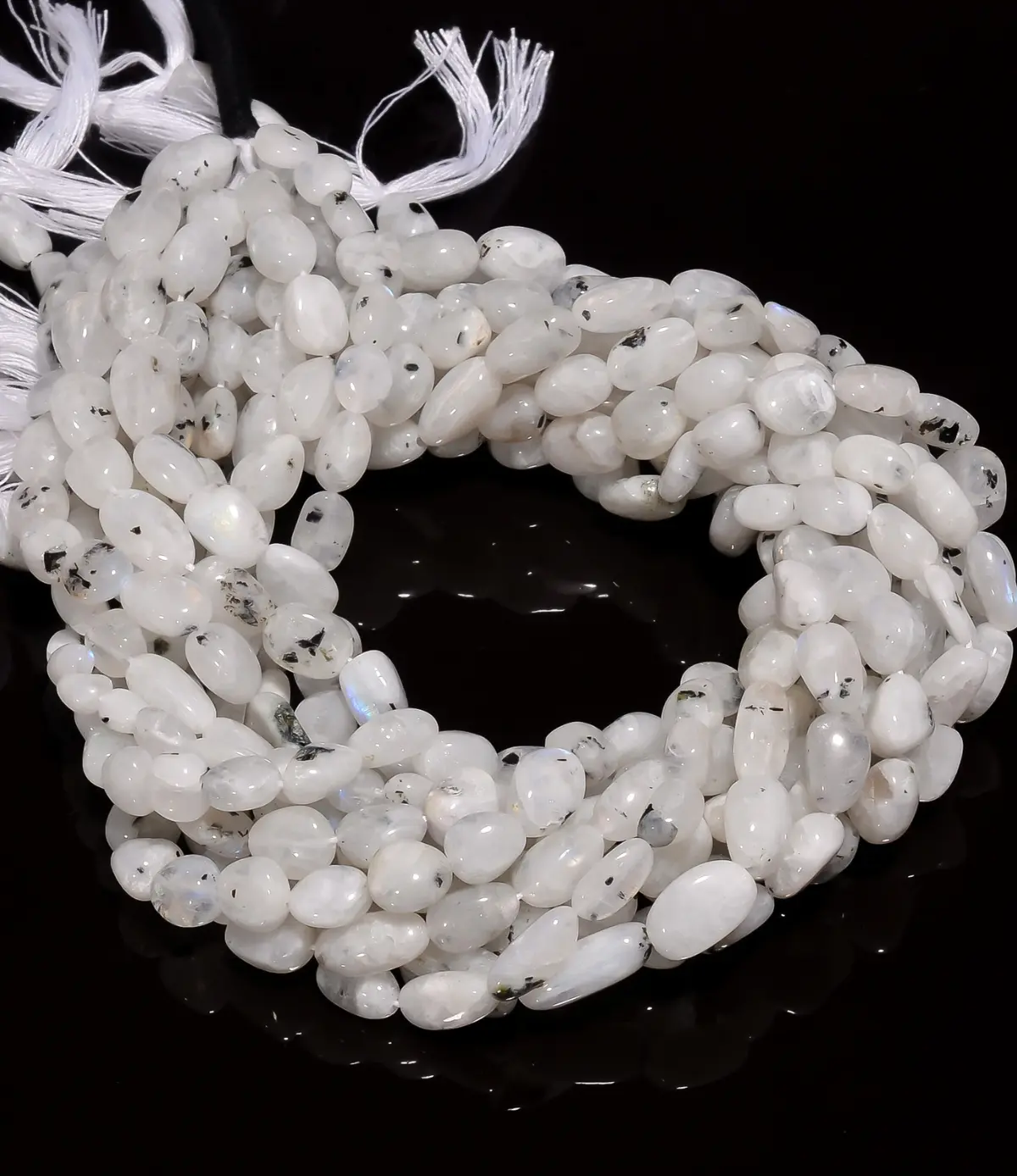 untitled (1200 x 1388 px)